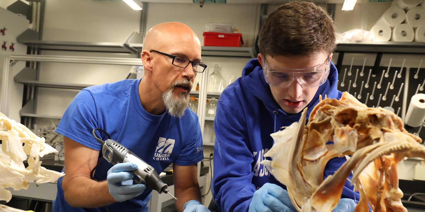 Prof. Konow with student over skeleton in Konow Lab