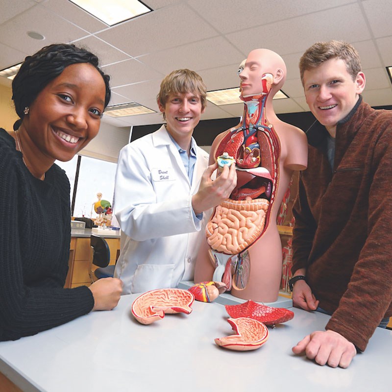 A female and two male students work with a anatomy dummy