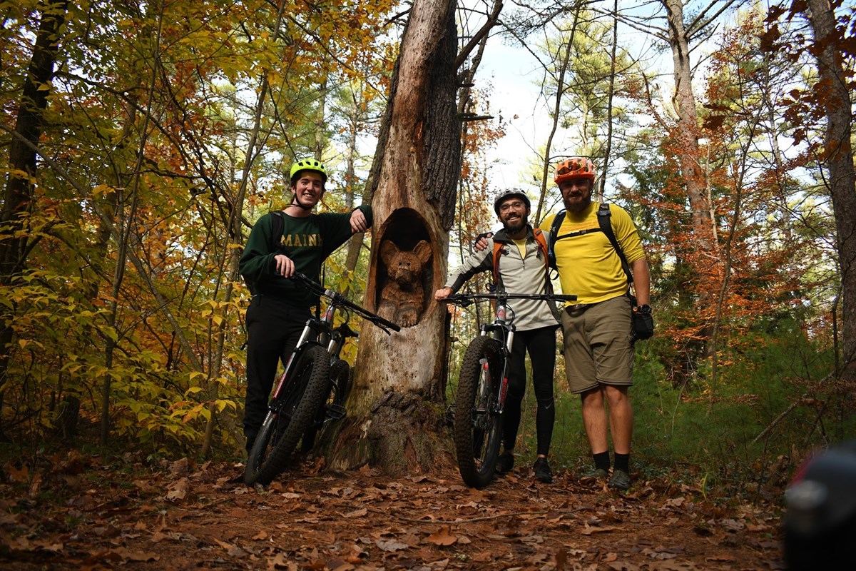 Mountain bikers beside a tree with a bear carved out of its trunk.