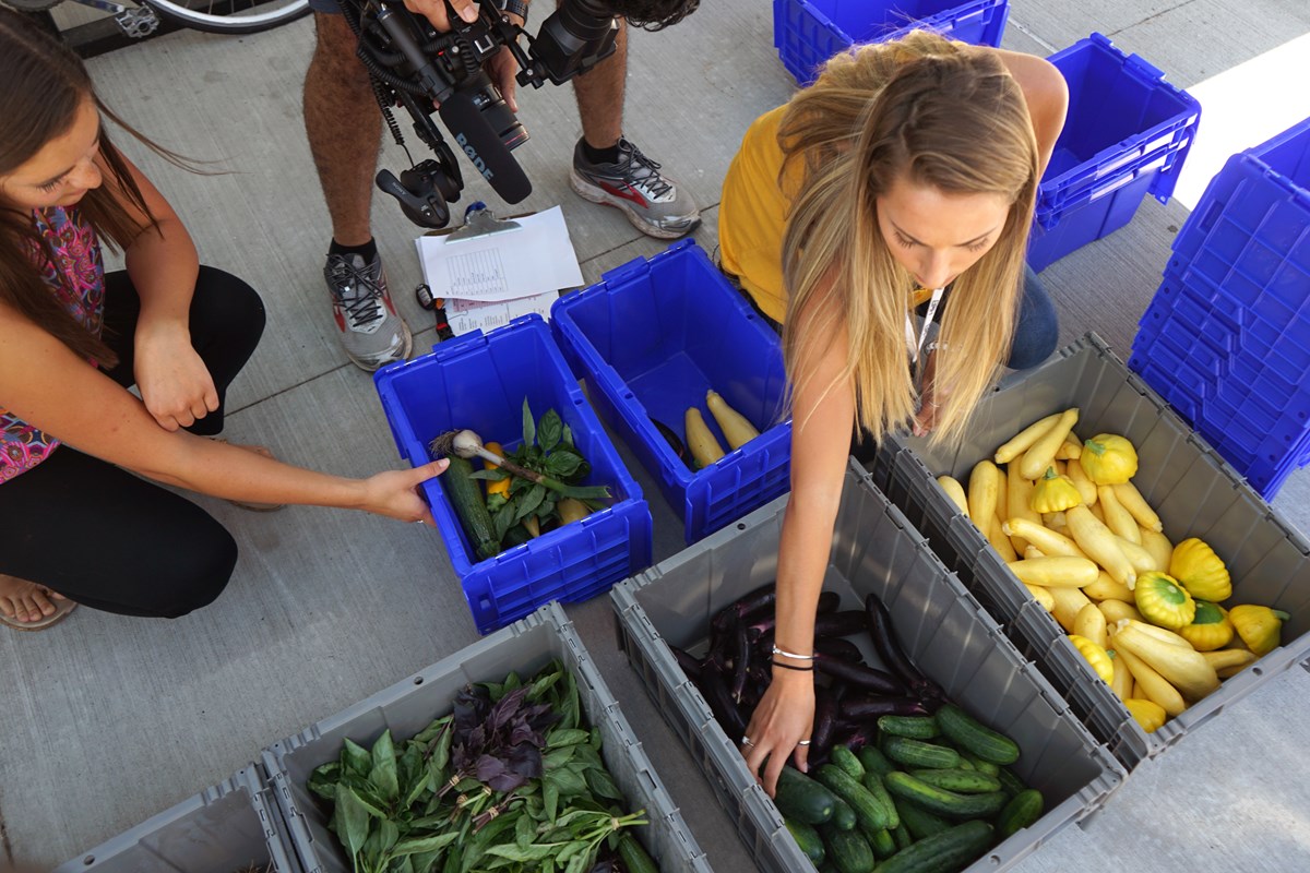Student employees sort vegetables to be delivered