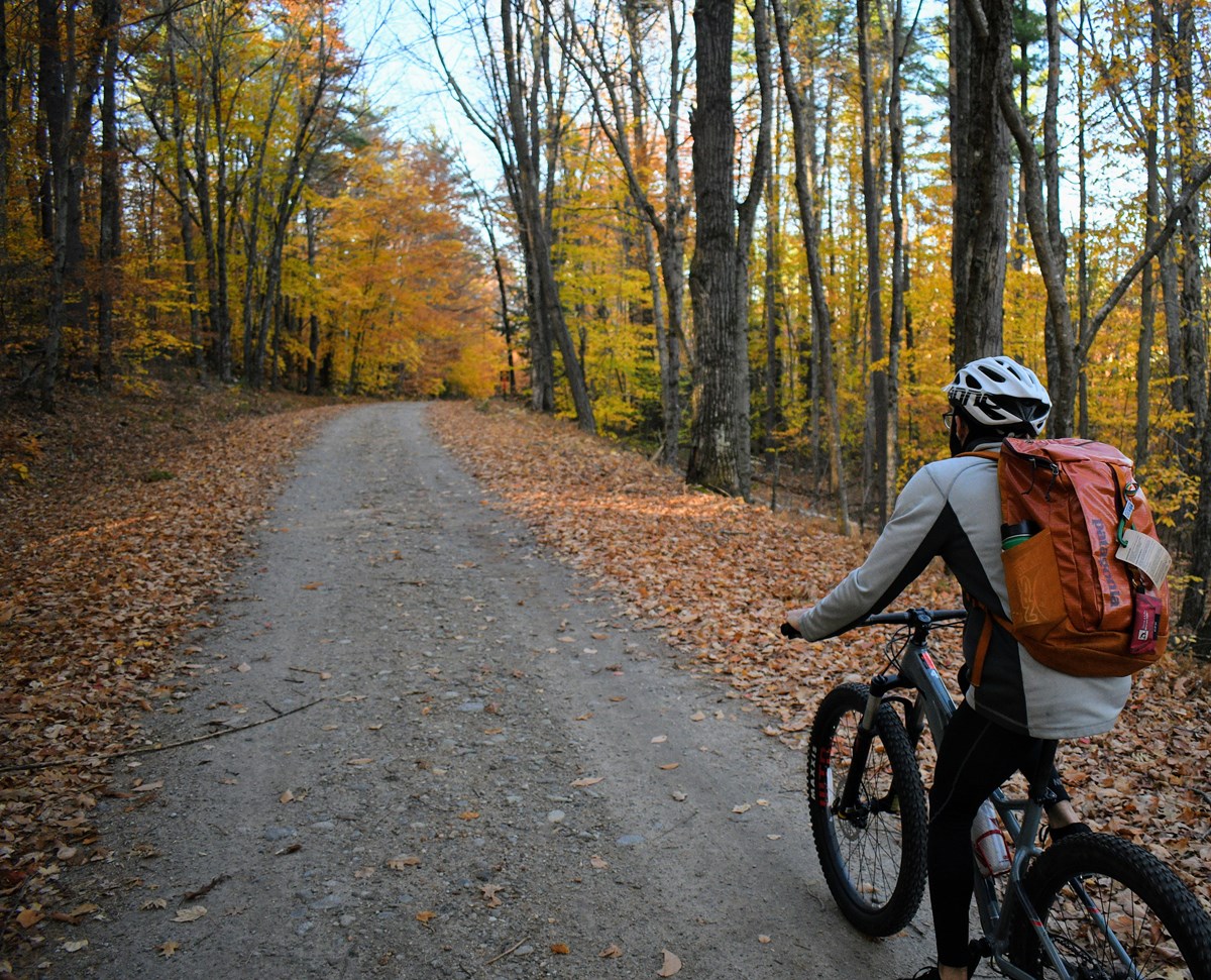 Cyclist riding a dirt road in Autumn with colorful trees