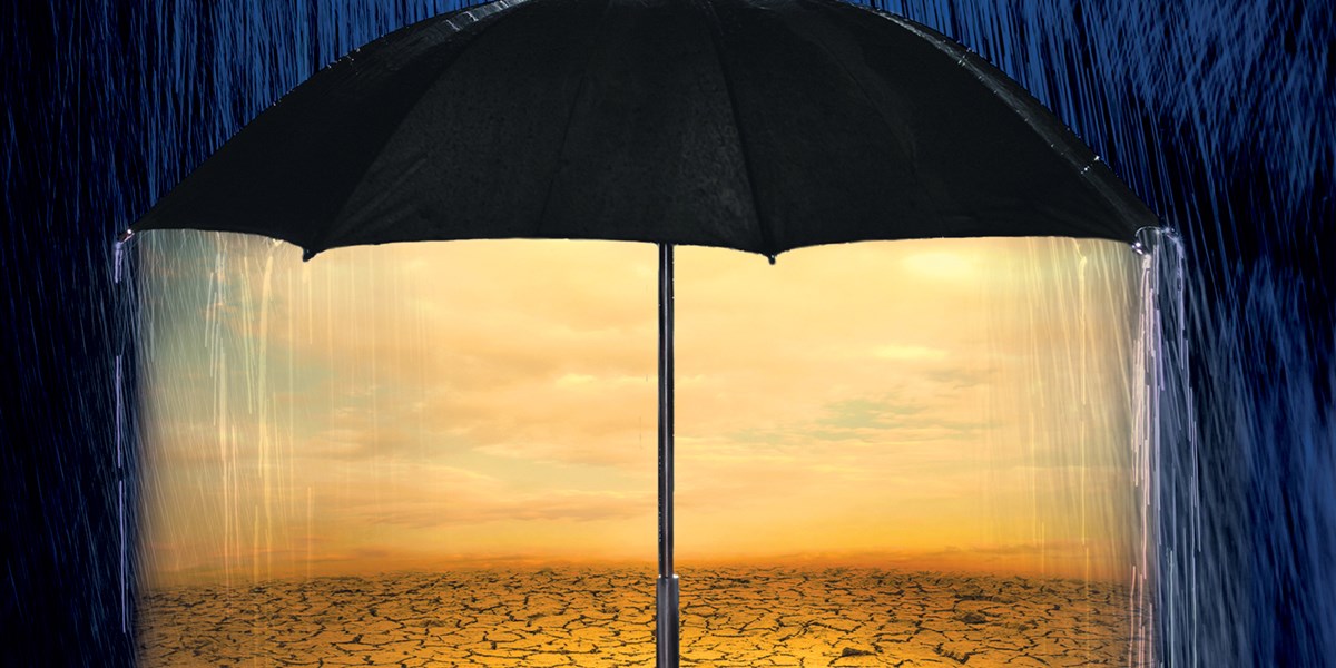 Illustration of an umbrella shielding rain from a parched landscape