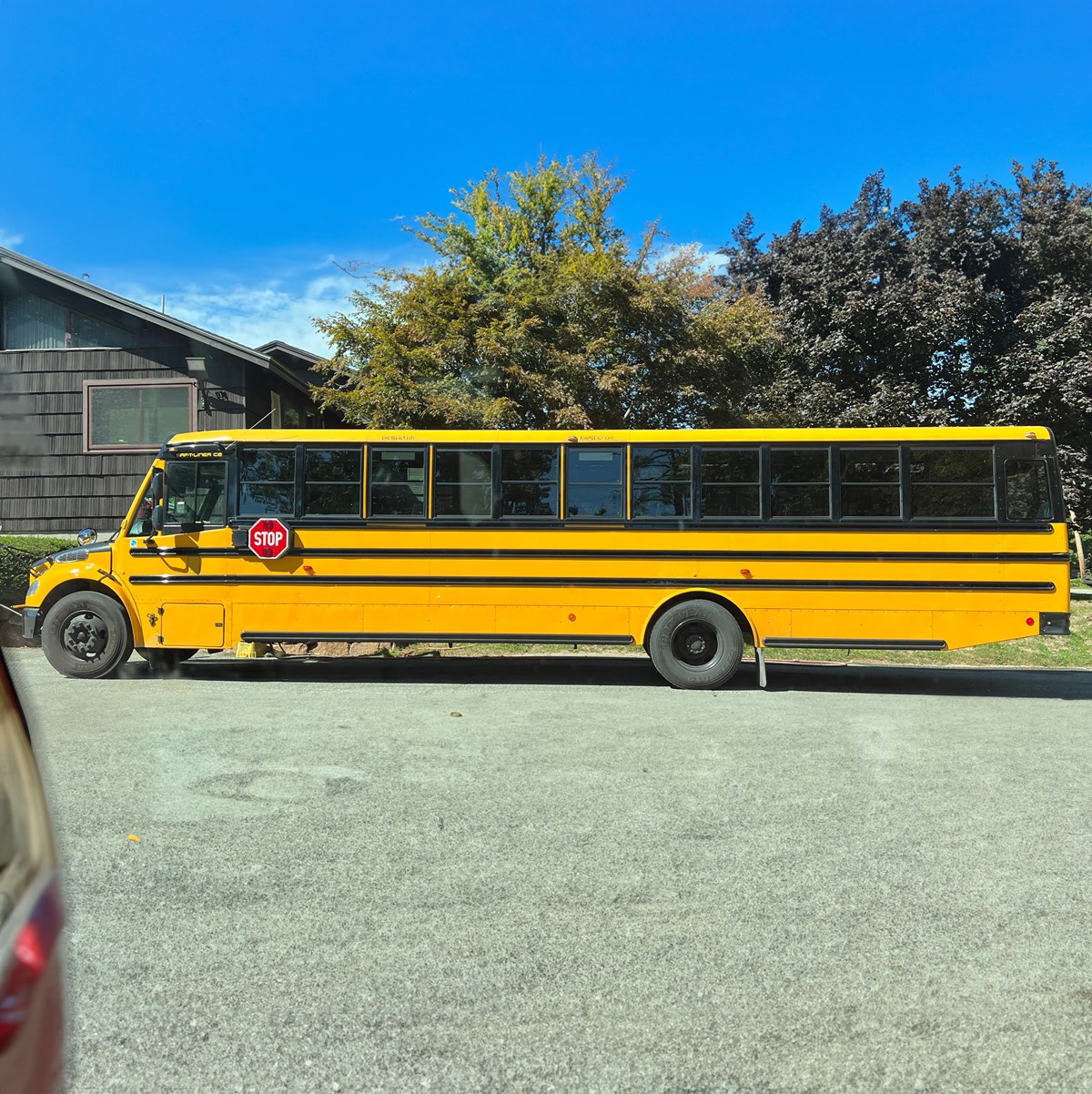 A Yellow School Bus side profile.