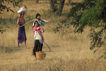 The people of Myanmar have experienced recent, dramatic improvements in civic freedom, as witnessed by political science Assoc. Prof. Ardeth Thawnghmung.