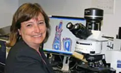 Susan Braunhut