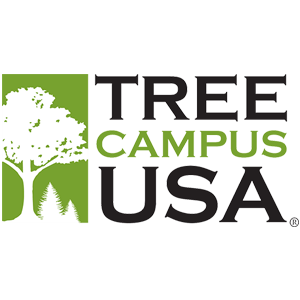 TreeCampus_USA