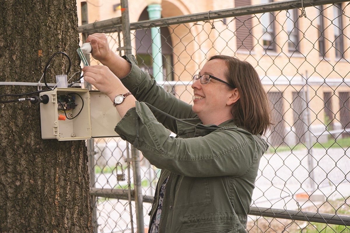 Joy Winbourne puts silicon on sensor before inserting it into tree