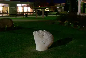 Joseph Wheelwright&rsquo;s &ldquo;Vincent&rdquo; looks to the heavens from the turf of the South Campus quad.