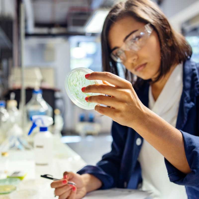Student wearing lab goggles looks at a petri dish while taking notes