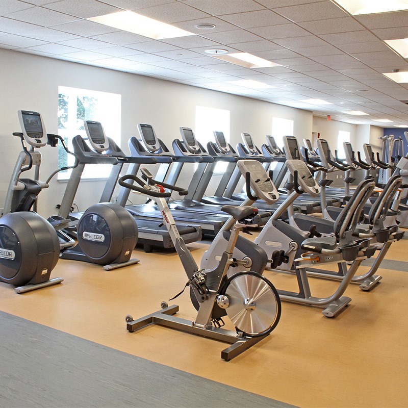 Fitness bikes and treadmills in the Riverview Fitness Center