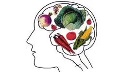 After Michael Pollan's blockbuser bestseller "The Omnivore's Dilemma" was published, the debate over vegetarianism reached new levels.