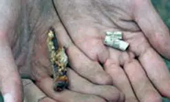 Items found at the site of a former Lowell Irish shanty town include remnants of a clay pipe and rusty nails.