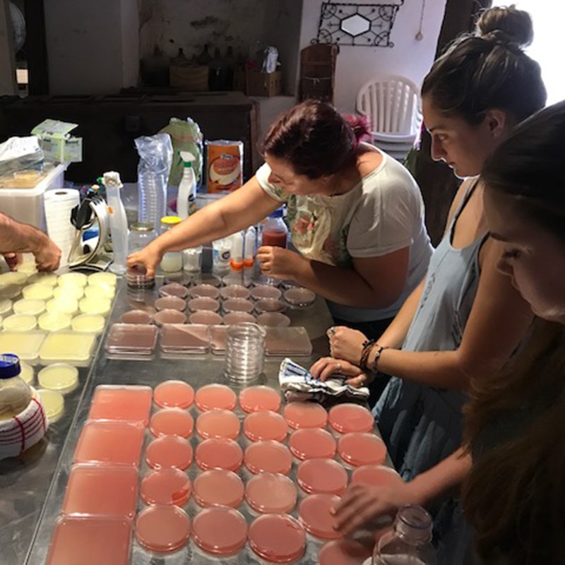 Students make agar from powder in Portugal
