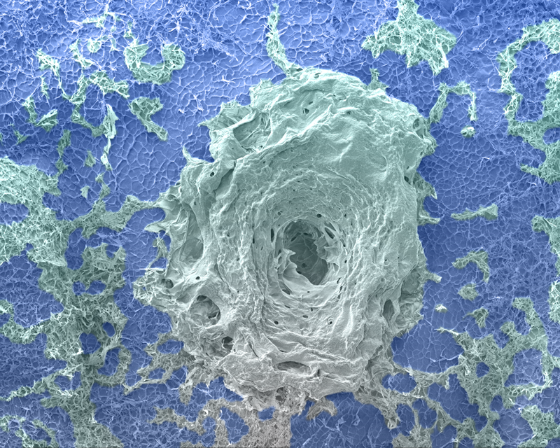 swirled image on blue background