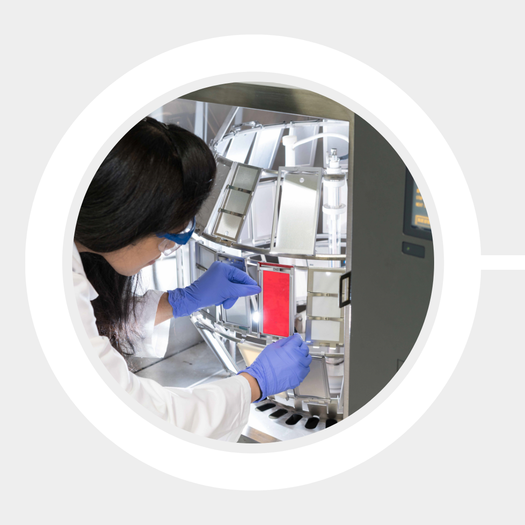 A female technician wearing gloves places a red plate in a large thermal imaging diagnostic device.