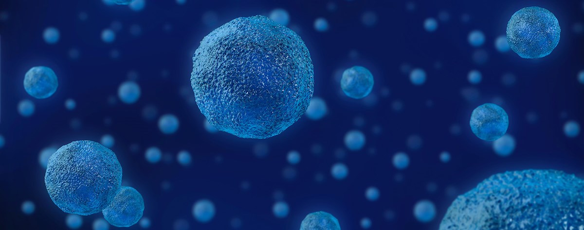 3D Isolated Human Cell Background. 