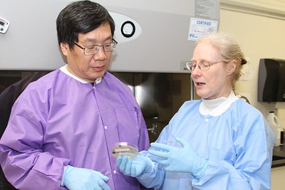 Biomedical and Nutritional Sciences Assoc. Prof. Nancy Goodyear and Chemistry Prof. Yuyu Sun