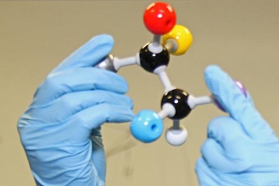 hands holding model of molecules