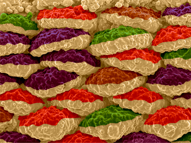 Layers of what looks like brightly colored two-toned pillows