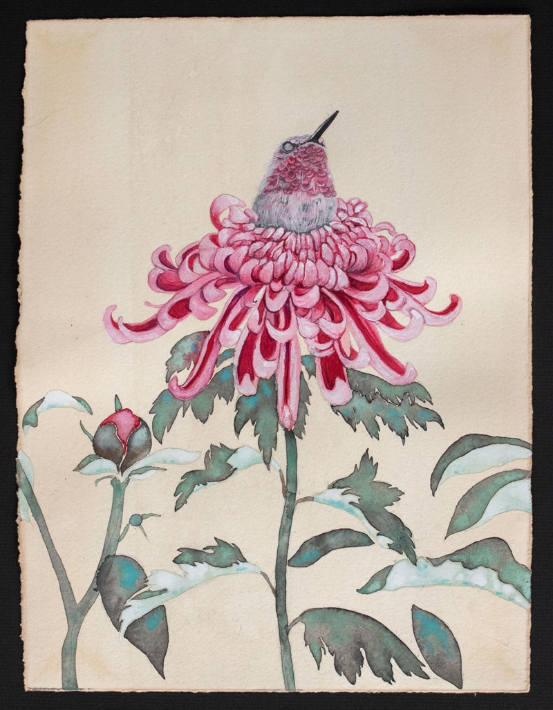 Yuko-Oda-Art-Chrysanthemum-Hummingbird