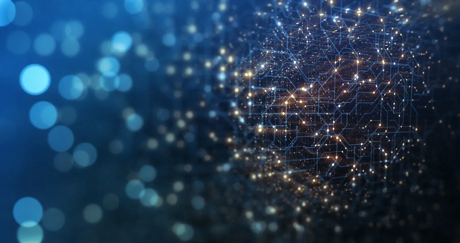 blue background with dots and chicken wire