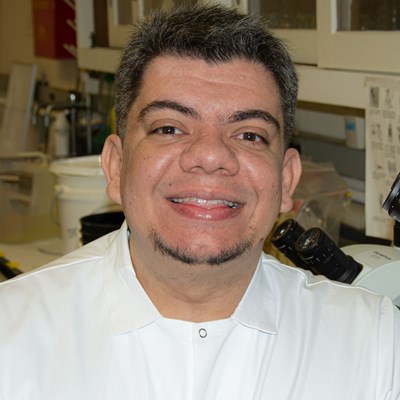 Thiago Araújo, Ph.D.