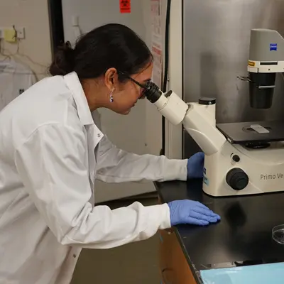 Biological Sciences student, Arya Tetali, using a microscope in a lab.