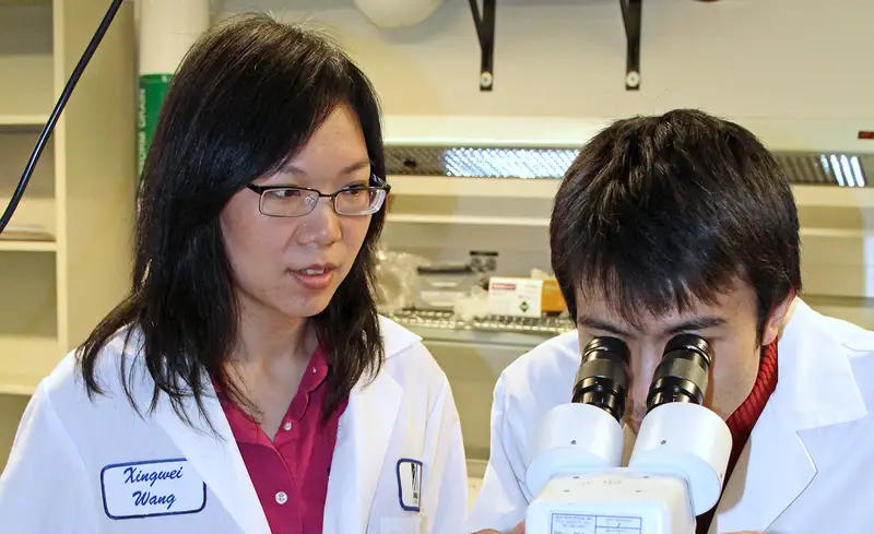 Professor Xingwei Wang with a student at a microscope