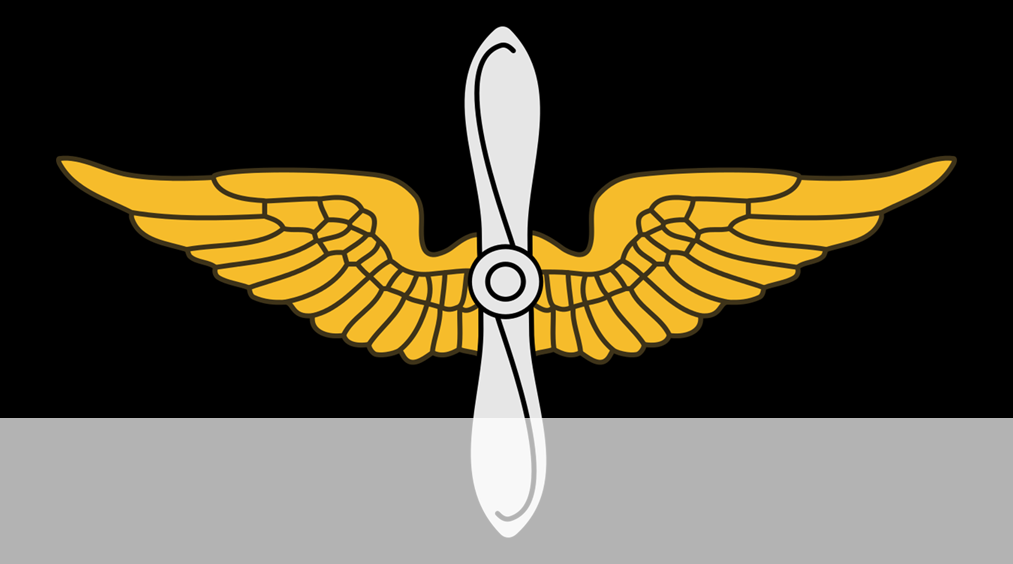Aviation Insiginia