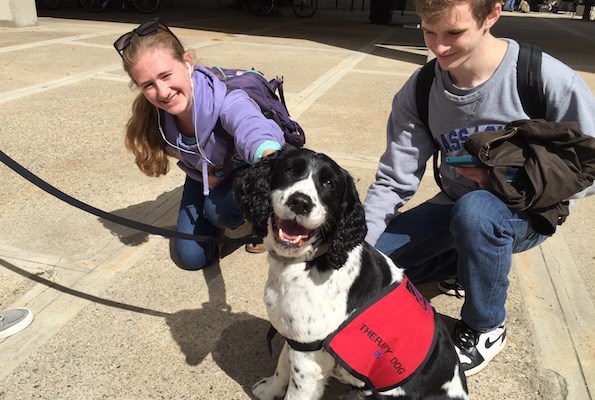 University therapy dog Ben with students