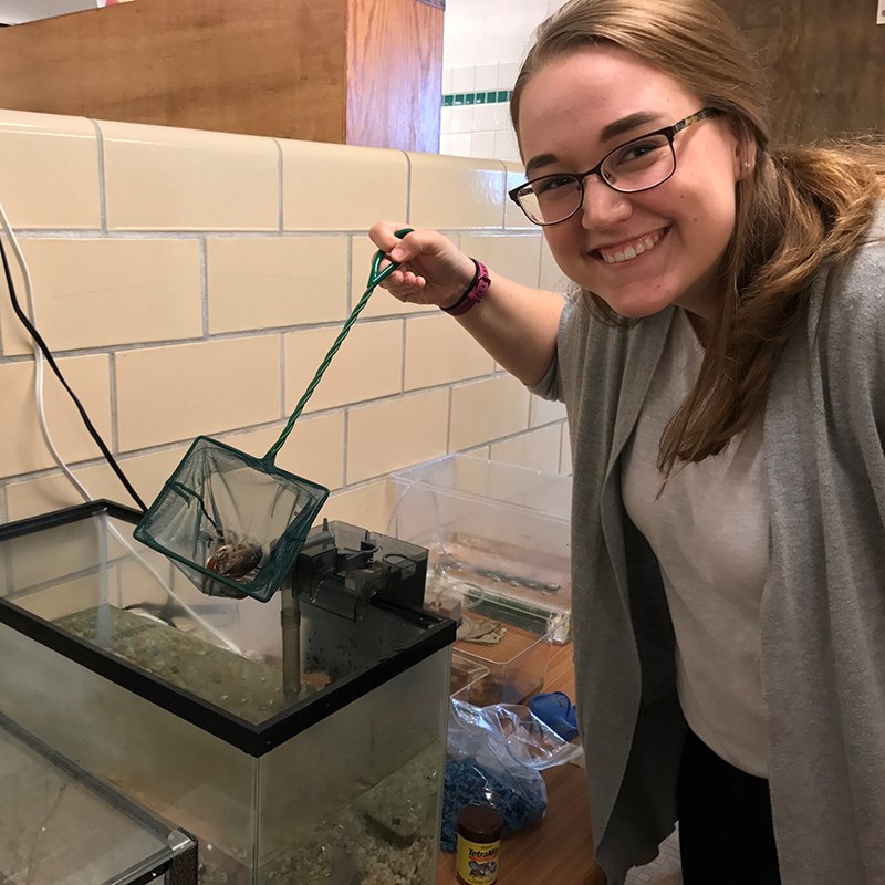 Brianna holding a crayfish in a net over a fish tank