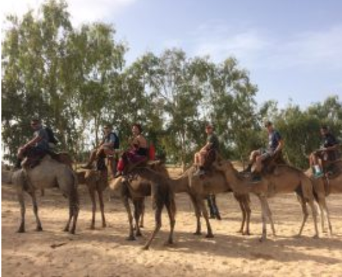 Cadets riding on camels