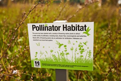 Pollinator Habitat sign in field