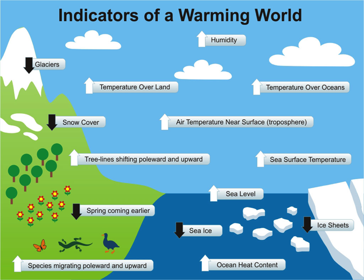 Simple infographic that shows that some of the following factors are responsible for a "Warming World": an increase in Humidity, Temperature Over Land and Oceans, Sea level and migrating species; as well as a decrease in Glaciers, sea ice and snow covers.