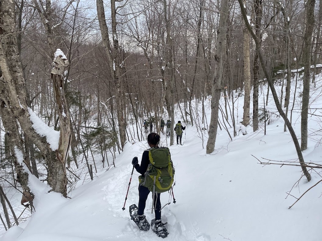 A person in snowshoes walks down the trail with the group ahead of her in snow-covered forest