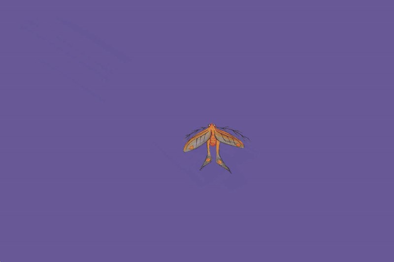 Good Moth Boy (interactive) by Cassidy McAuliffe 