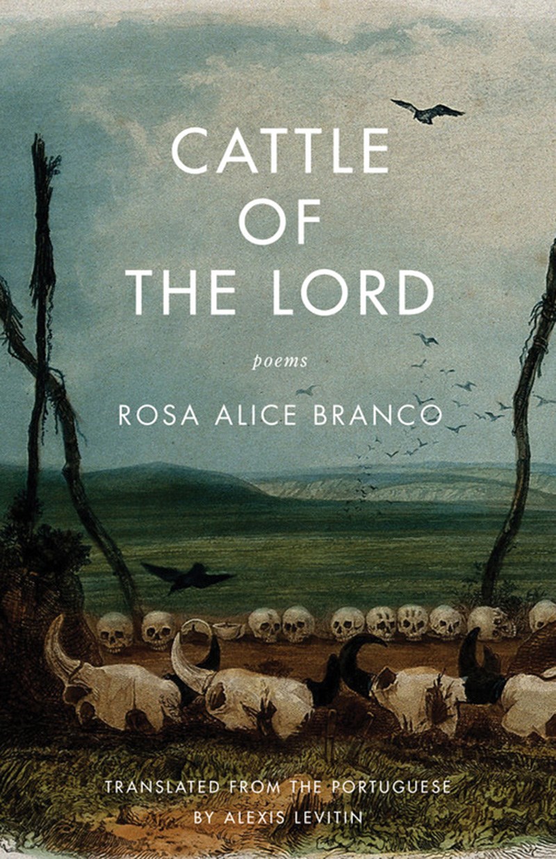 POETRY Cattle of the Lord By   Rosa Alice Branco In these poems, presented in both Portuguese and English, readers find themselves in a darkly comic, sensual, and contradictory world. The author’s unorthodox—even blasphemous—religious sensibility yields something ultimately hopeful: a belief that the physical, the quotidian, and the animalistic are holy, too.