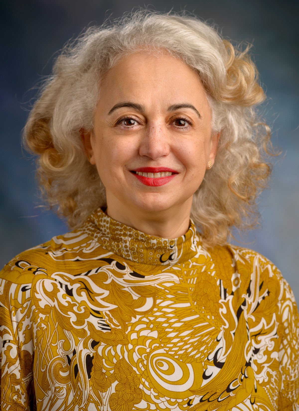 Iman Chahine, Ph.D. is the Co-Editor-Journal of Mathematics and Culture and an Associate Professor Mathematics Education in the College of Education at UMass Lowell.