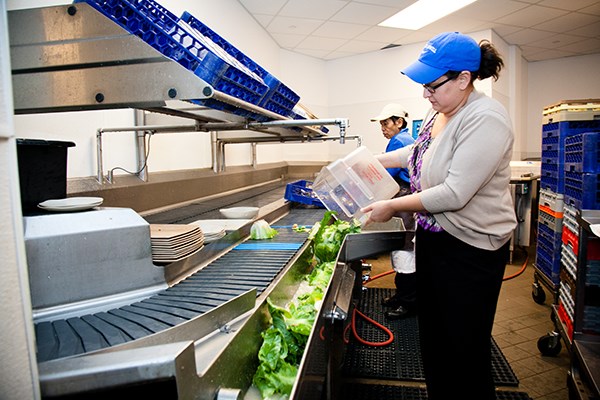 A dining hall worker dumps scrap lettuce into a chute to be composted