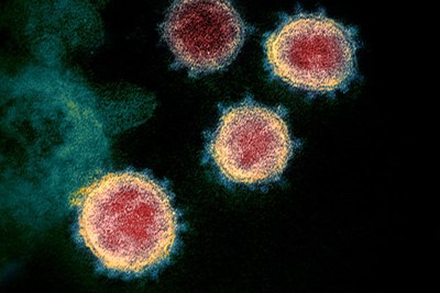 Coronavirus close-up view