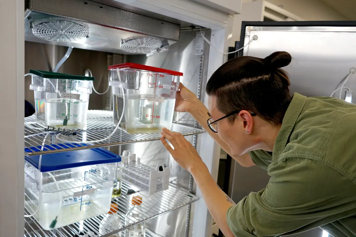 A man and a woman pose for a photo in a biology lab.