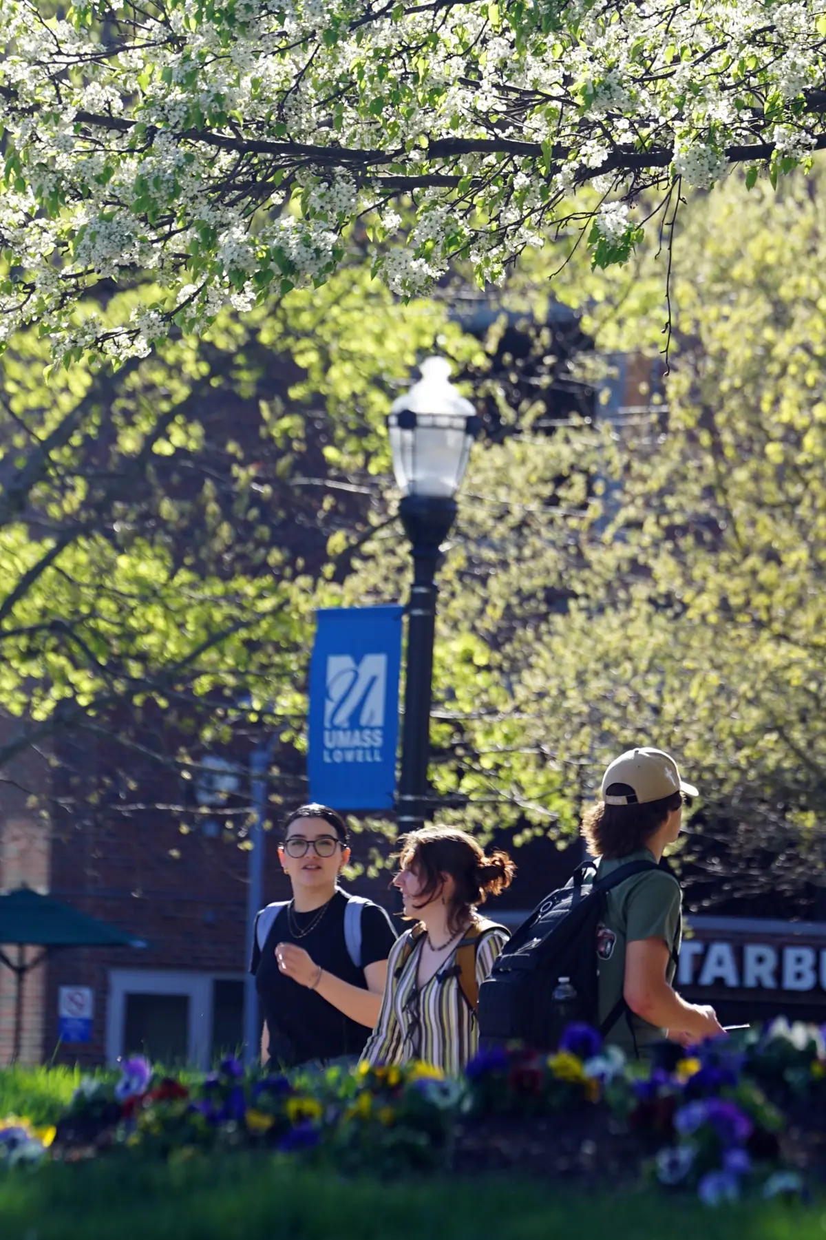 Three people walk under flowering tree and UMass Lowell banner