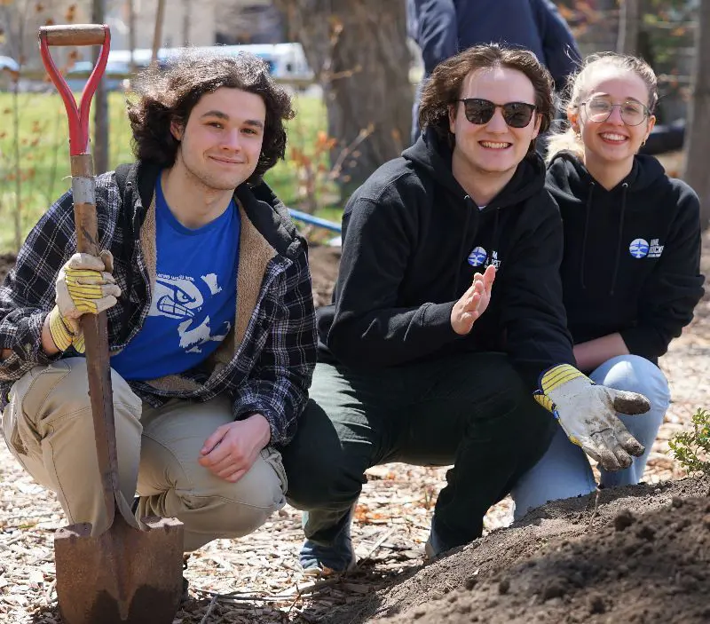 3 students plant a tree 