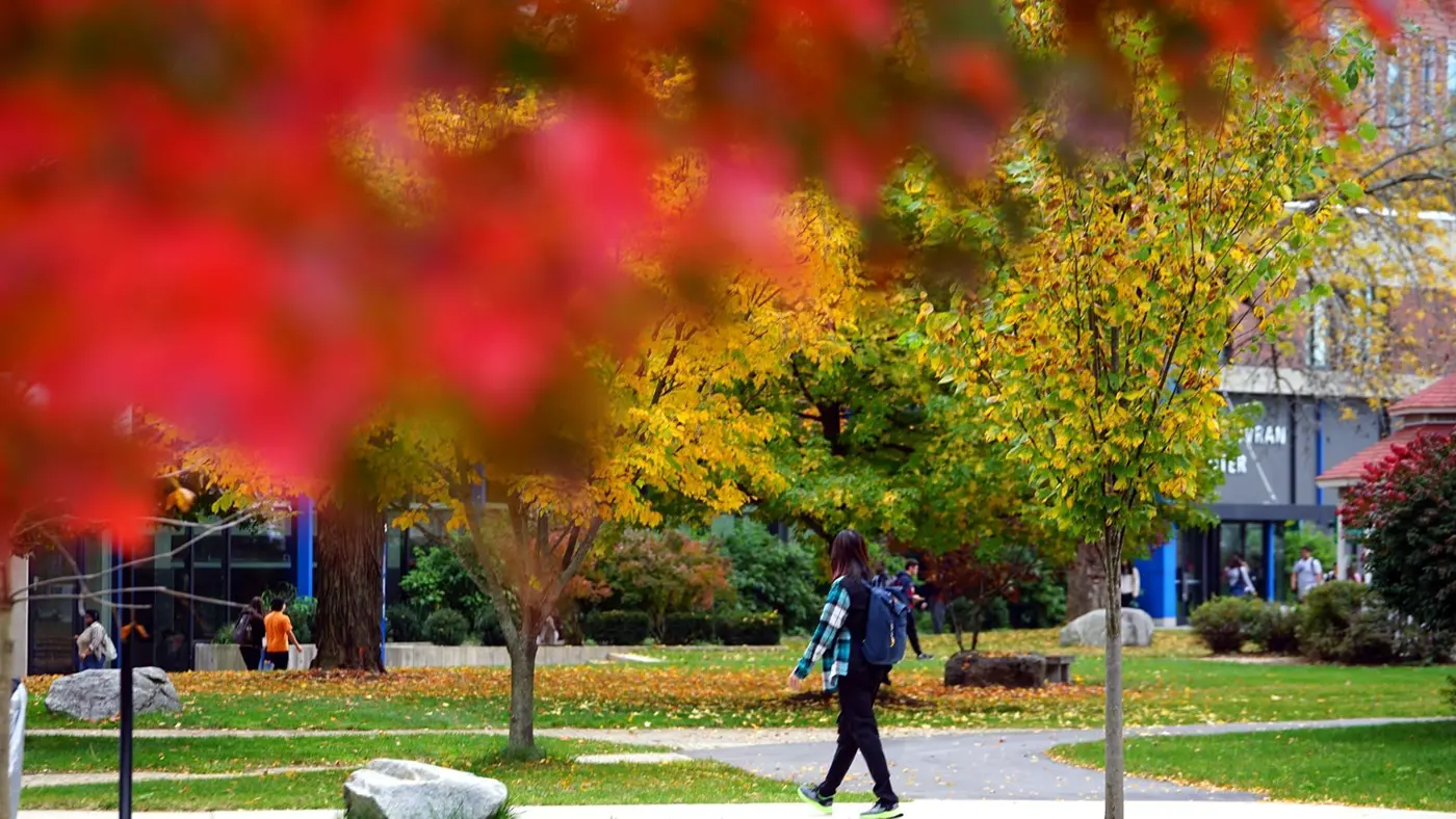 Student with backpack walks in distance with red tree leaves in foreground