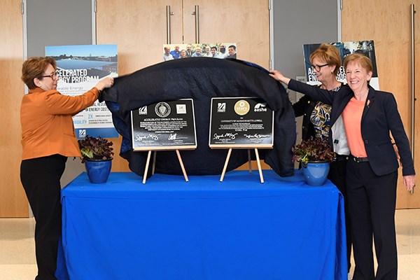 Jacquie Moloney, Joanne Yestramski and Carol Gladstone unveil APE and STARS plaques