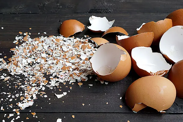 Crushed eggshells