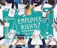 A table with the words "Employee Rights" written on in and peoples hands are working on different things all around it.