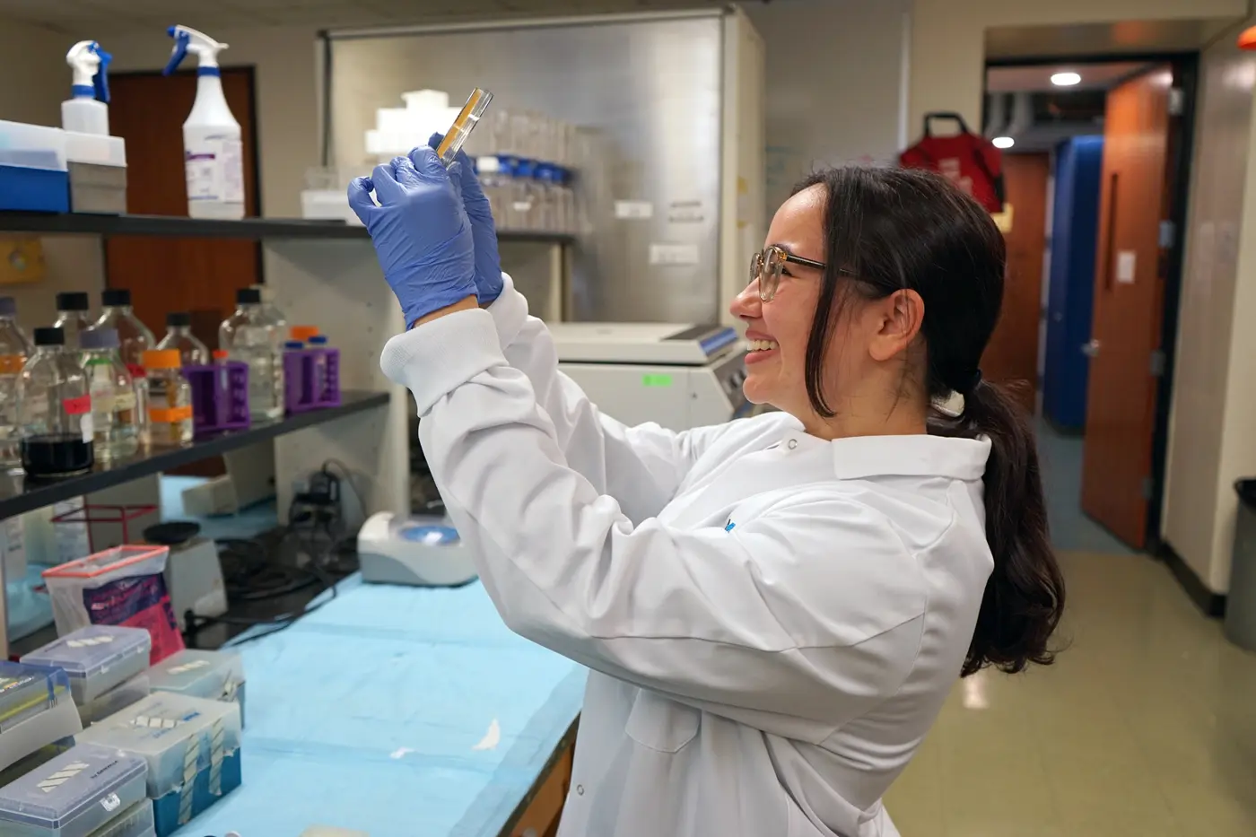 Feriel Boudif looks at a bacteria culture.