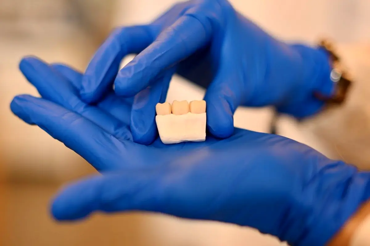 A closeup of a 3D tissue model being held by hands wearing blue gloves.
