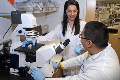 Prof. Camci-Unal with her student in the lab